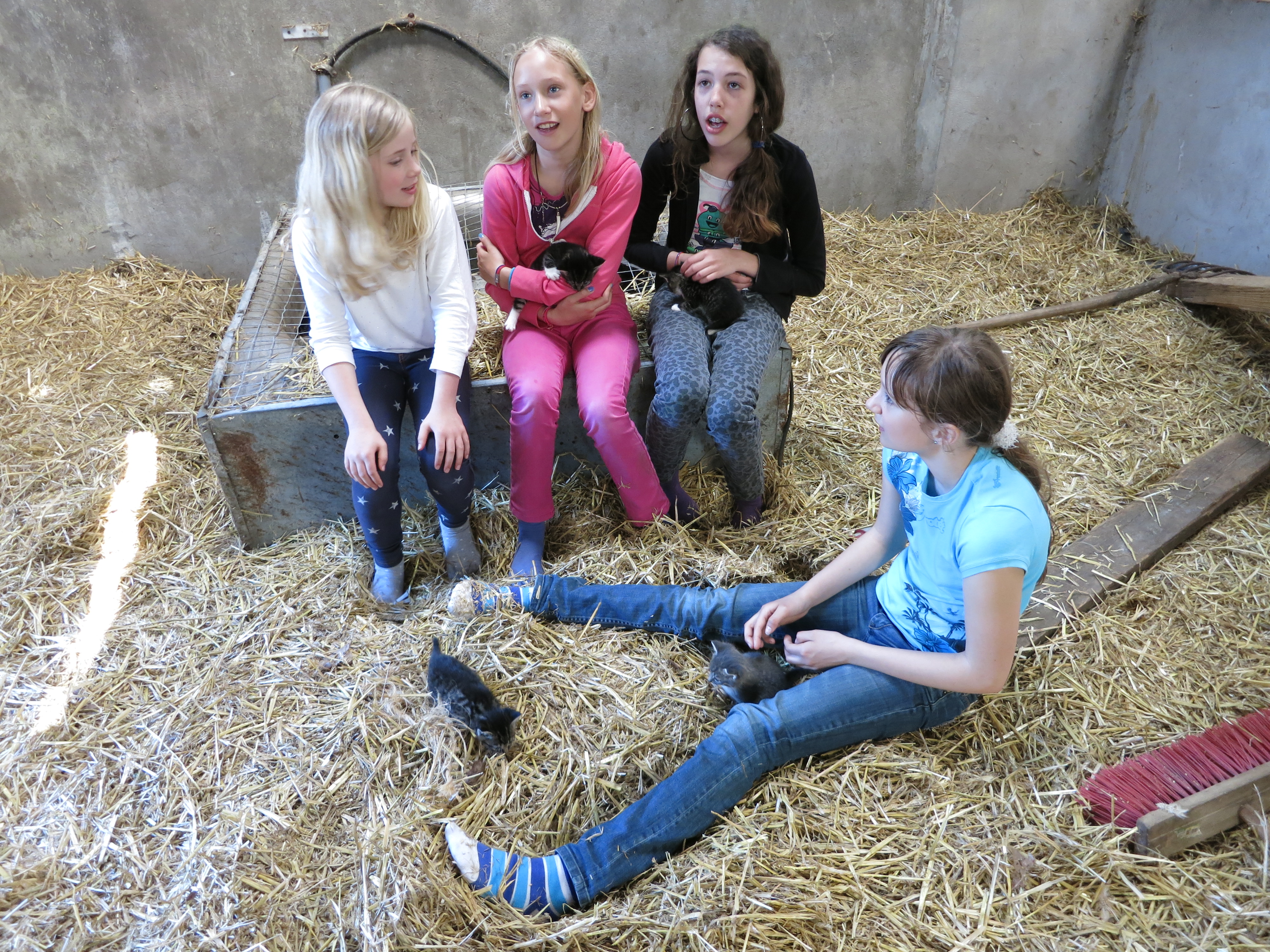 HWK Wekerom017.jpg